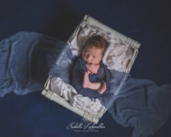 Séance photo studio nouveau-né à Bréal