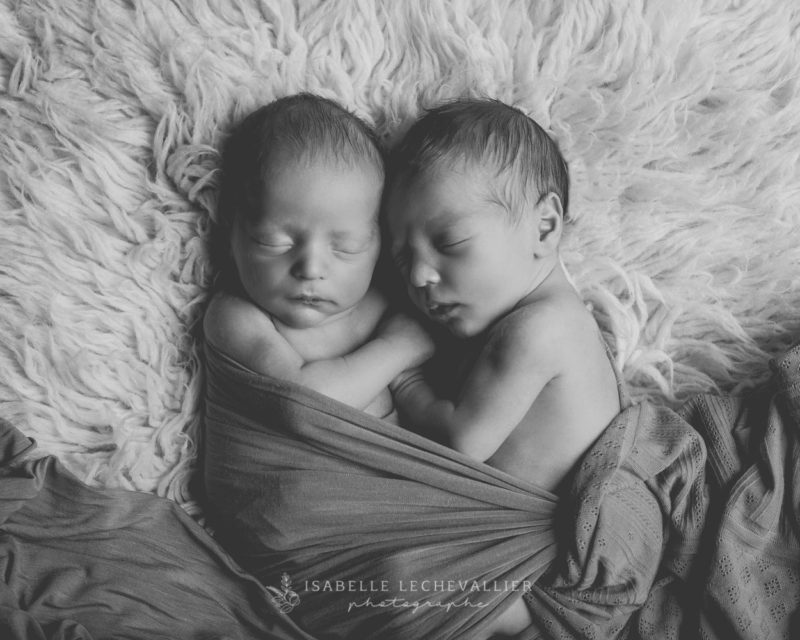Séance photo naissance jumeaux à Rennes