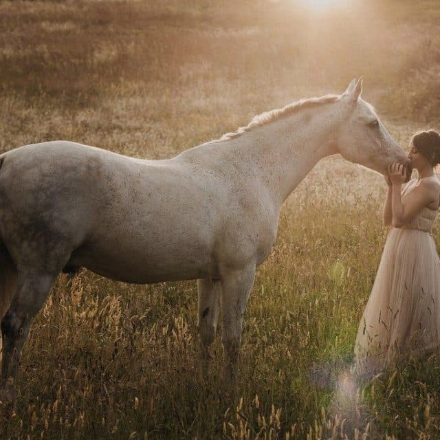 photo féerique avec votre cheval au coucher du soleil